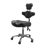 Hydraulic Artist Chair With Curve Backrest